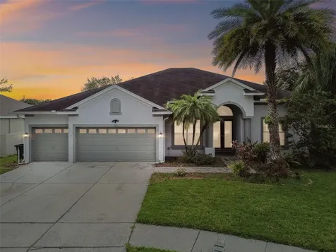 3205 Hanging Vine Court Land O Lakes FL 34639