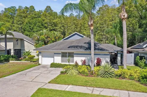 5937 Birchwood Drive Tampa FL 33625