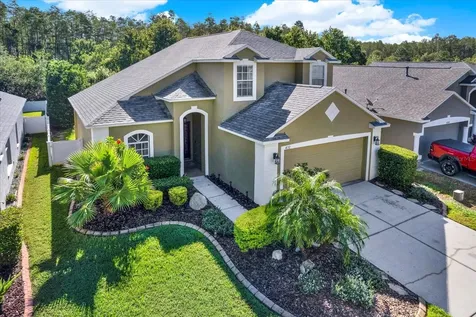4132 Marchmont Boulevard Land O Lakes FL 34638