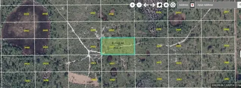 Dill Road Orlando FL 32820