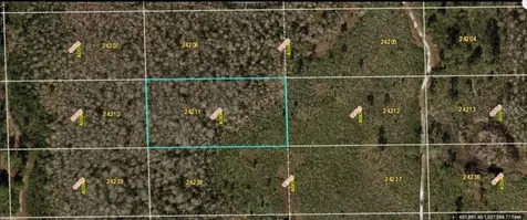 Dill Road Orlando FL 32820