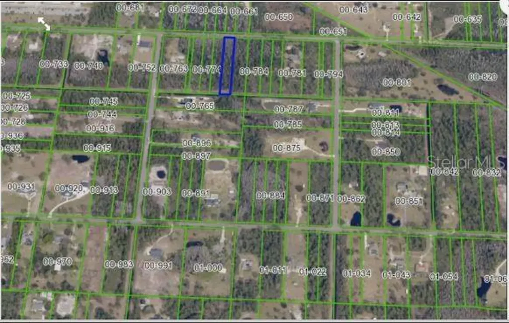 Paddock Street Orlando FL 32833