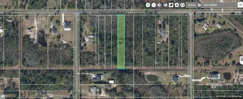 Paddock Street Orlando FL 32833