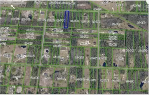 Paddock Street Orlando FL 32833