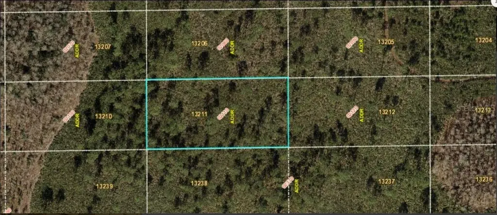Dill Road Orlando FL 32820