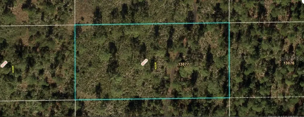 Dill Road Orlando FL 32820