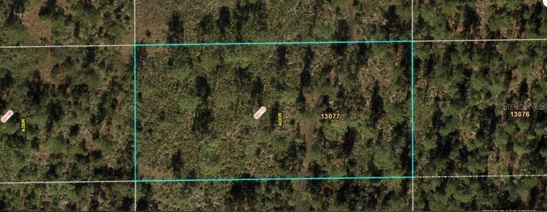Dill Road Orlando FL 32820