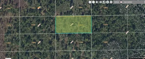 Dill Road Orlando FL 32820