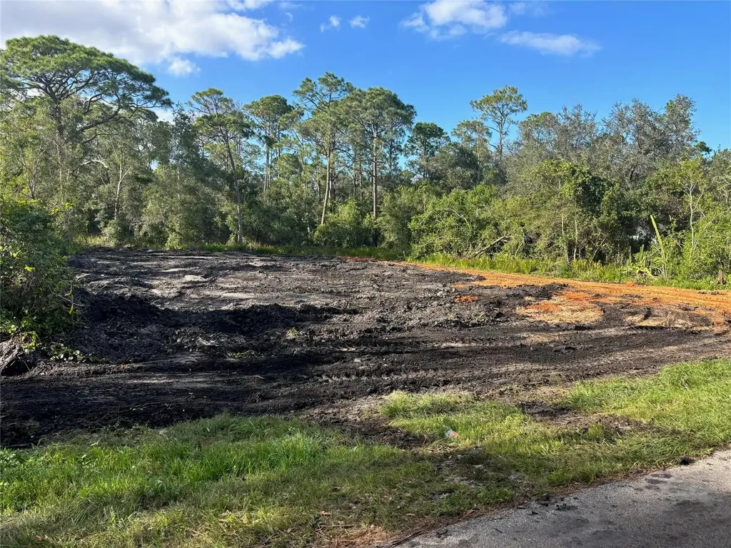 1518 Winter Road Lake Placid FL 33852