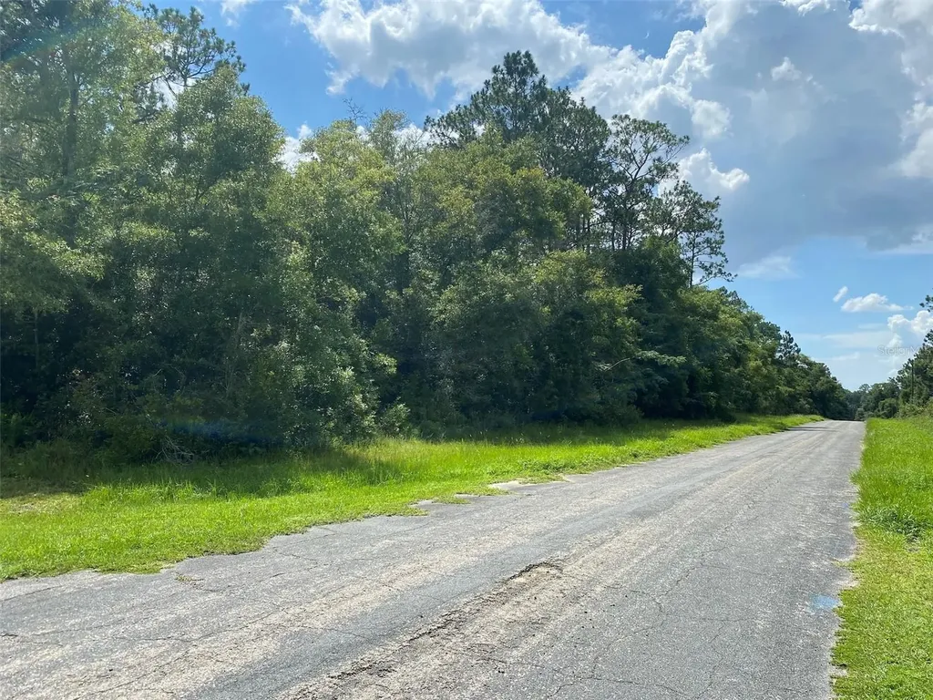 8739 N Upland Drive Citrus Springs FL 34434