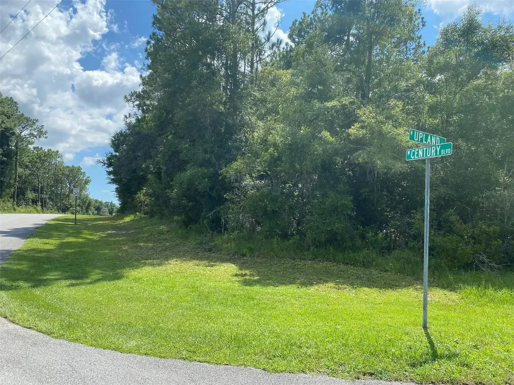 8739 N Upland Drive Citrus Springs FL 34434
