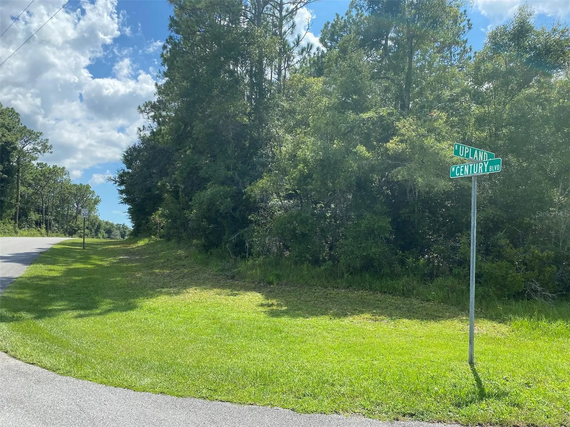 8739 N Upland Drive Citrus Springs FL 34434