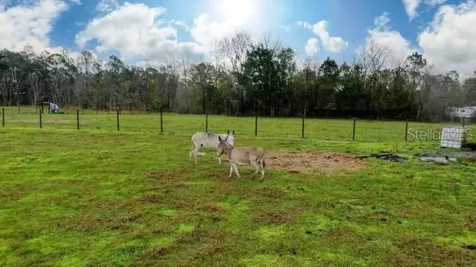1850 Sloans Ridge Road Groveland FL 34736
