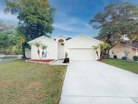 11102 Happy Acres Lane Riverview FL 33578