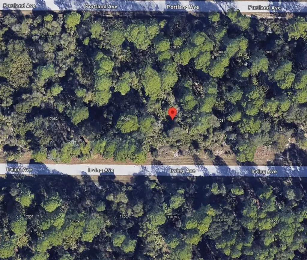 17076 Irving Avenue Port Charlotte FL 33948