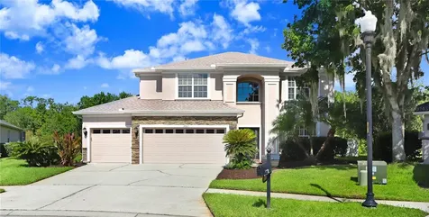 27015 Firebush Drive Wesley Chapel FL 33544
