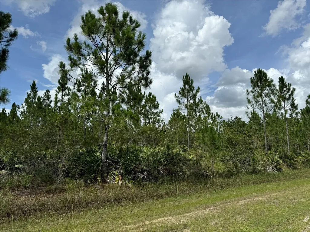 3621 Calendula Drive Indian Lake Estates FL 33855