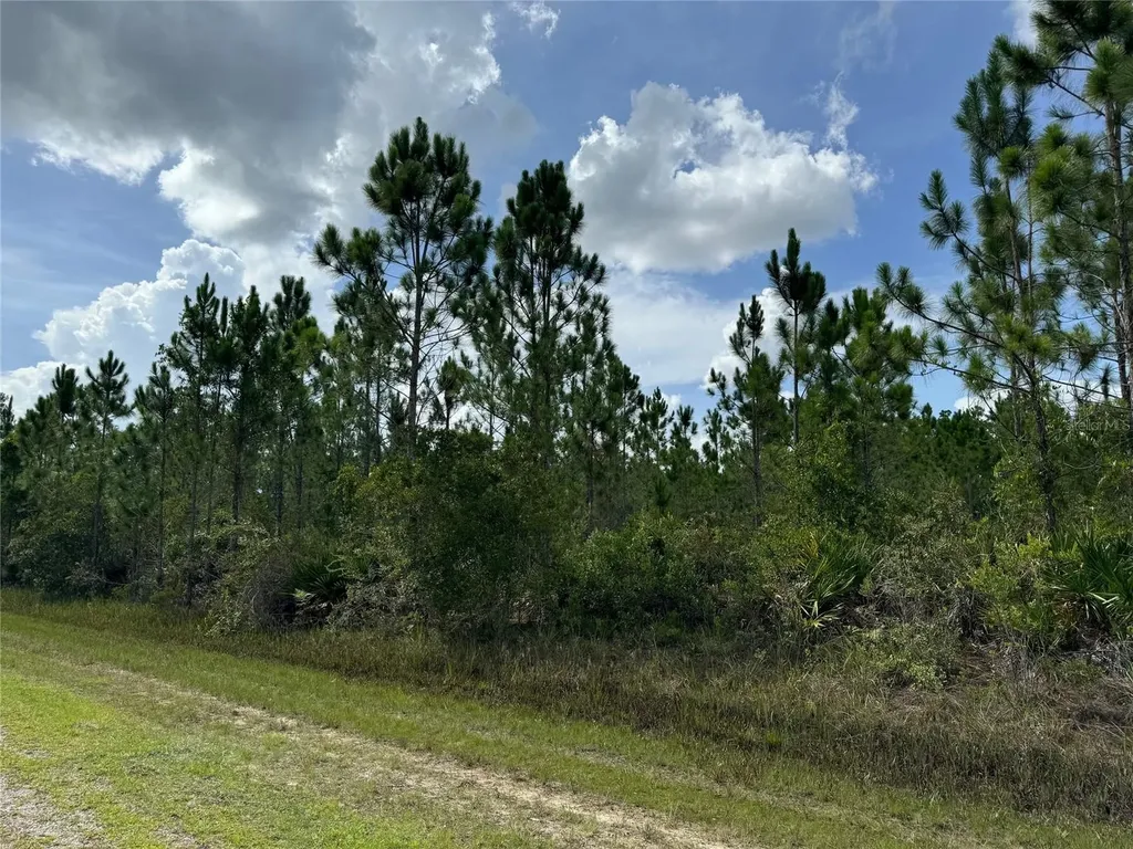 3621 Calendula Drive Indian Lake Estates FL 33855