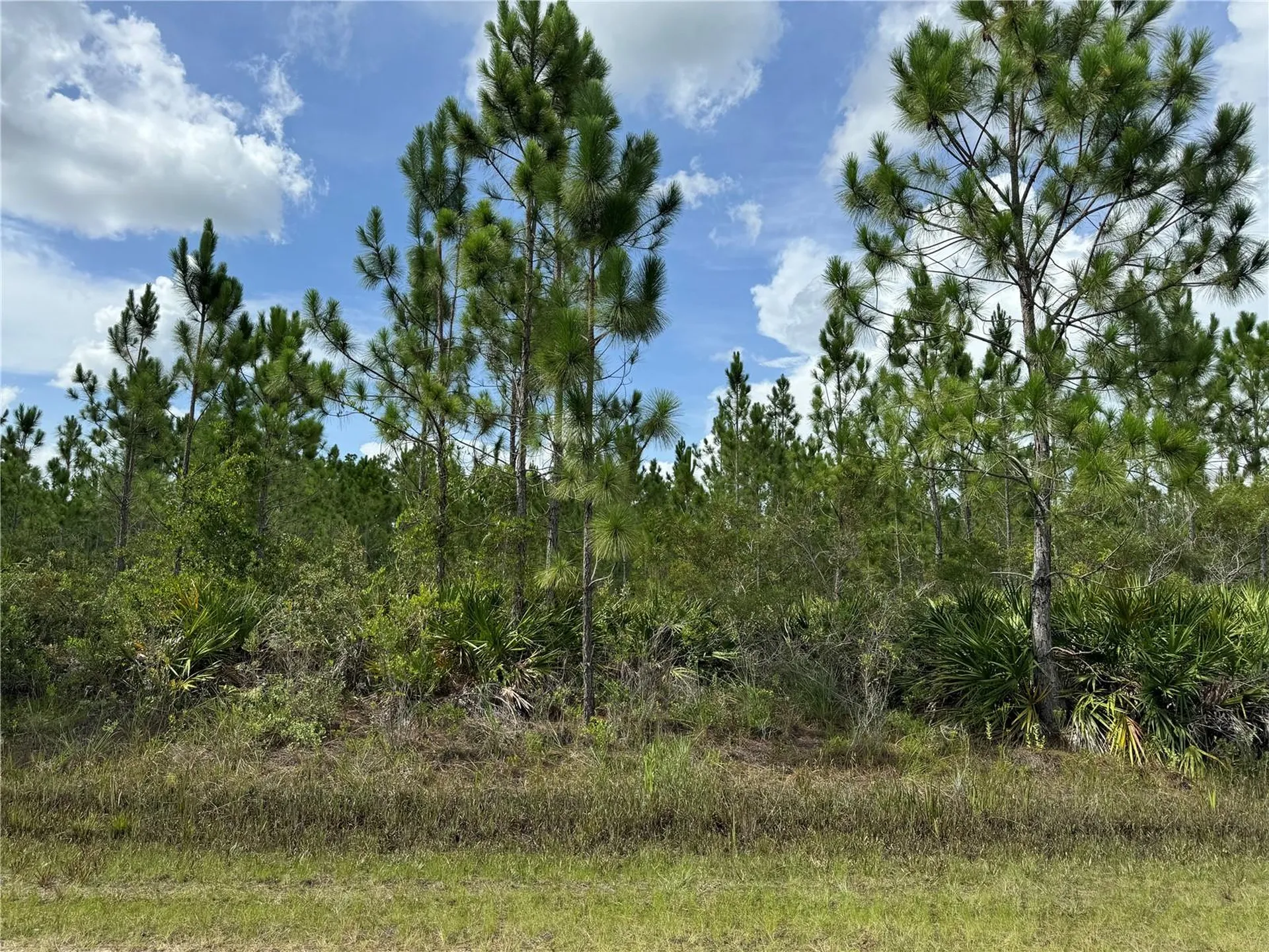 3621 Calendula Drive Indian Lake Estates FL 33855