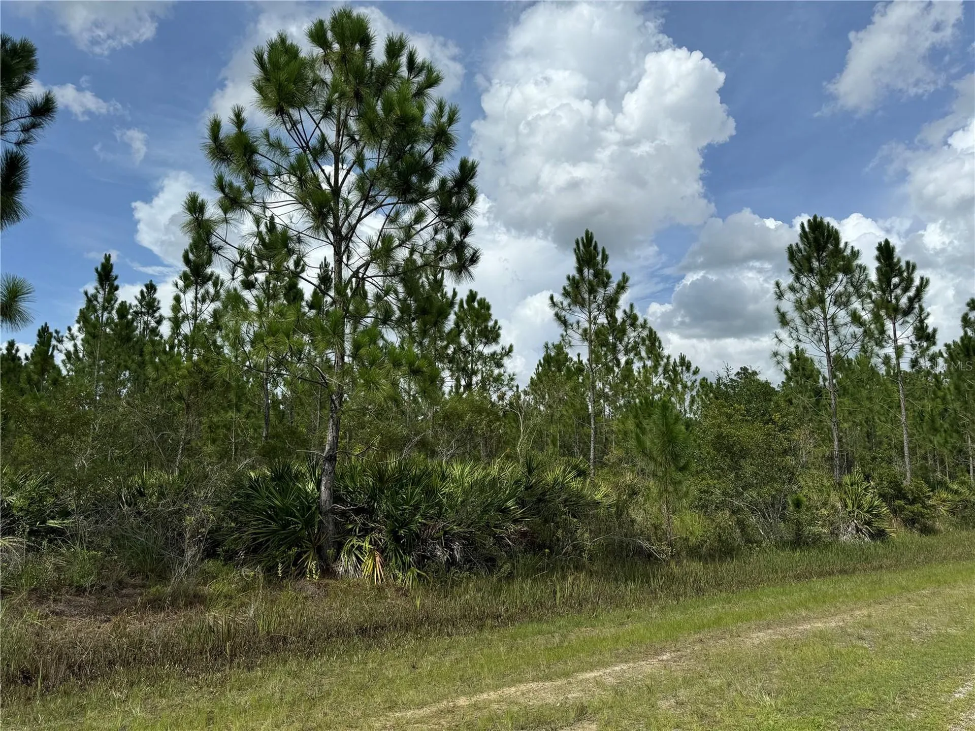 3621 Calendula Drive Indian Lake Estates FL 33855