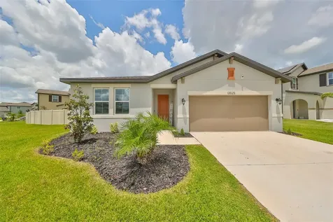 13525 Palmera Vista Drive Riverview FL 33579