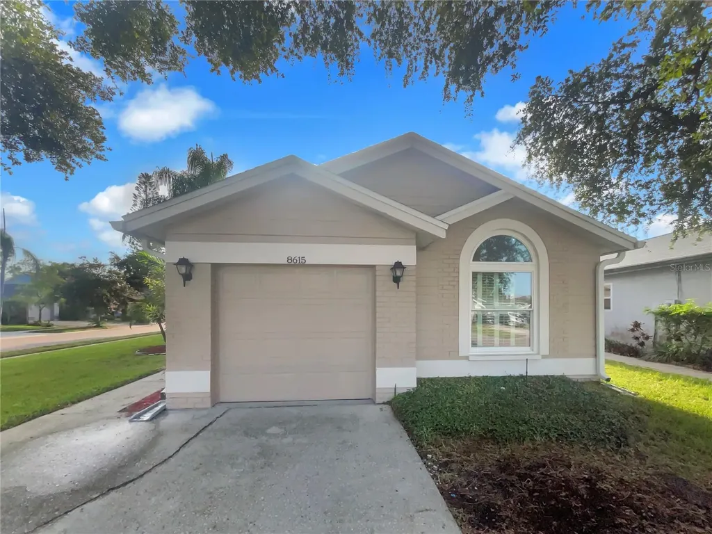 8615 Twin Farms Place Tampa FL 33635