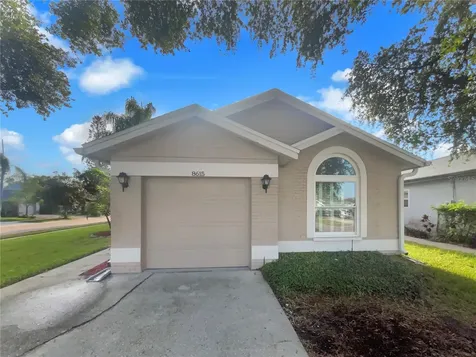 8615 Twin Farms Place Tampa FL 33635