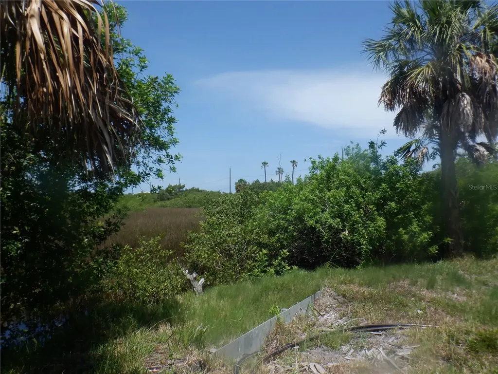 5350 Koons Drive Port Richey FL 34668