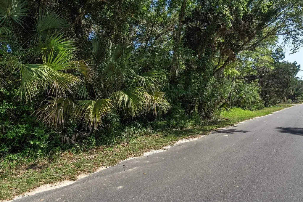 11681 W North Place Homosassa FL 34448