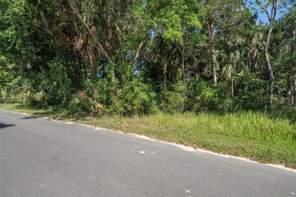 11681 W North Place Homosassa FL 34448