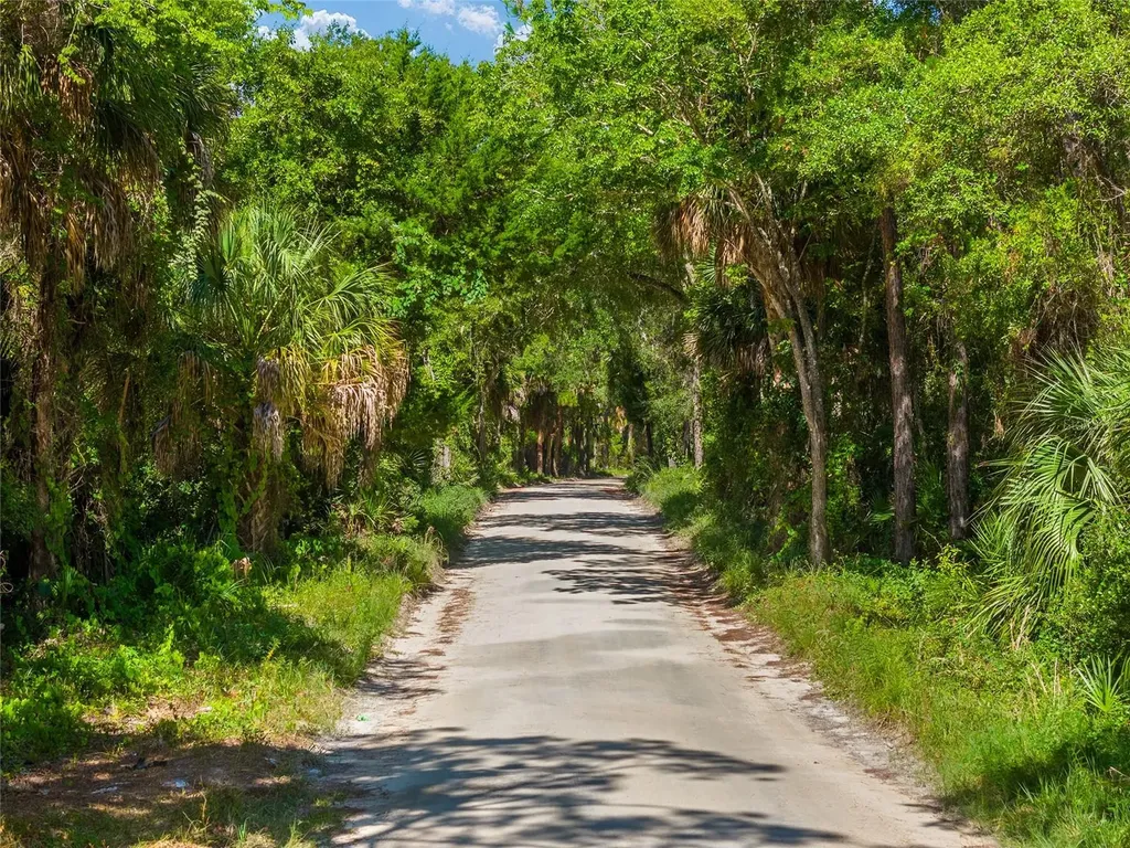 0 SE 193rd Place Yankeetown FL 34498