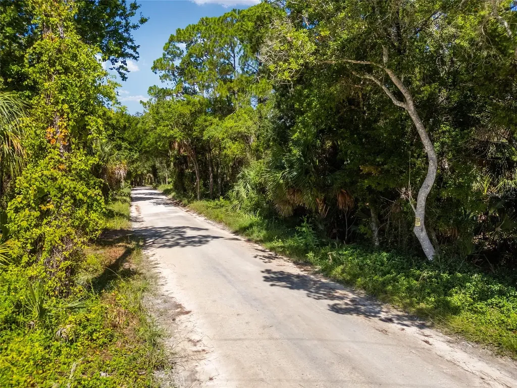 0 SE 193rd Place Yankeetown FL 34498
