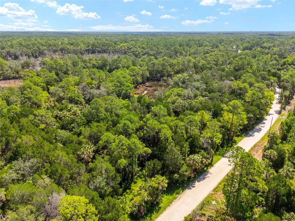 0 SE 193rd Place Yankeetown FL 34498