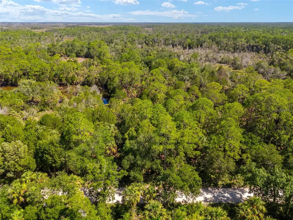 0 SE 193rd Place Yankeetown FL 34498