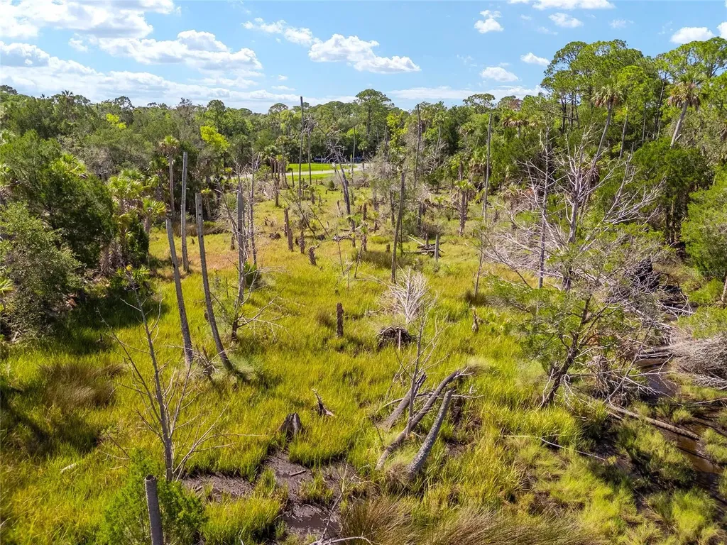 0 SE 193rd Place Yankeetown FL 34498