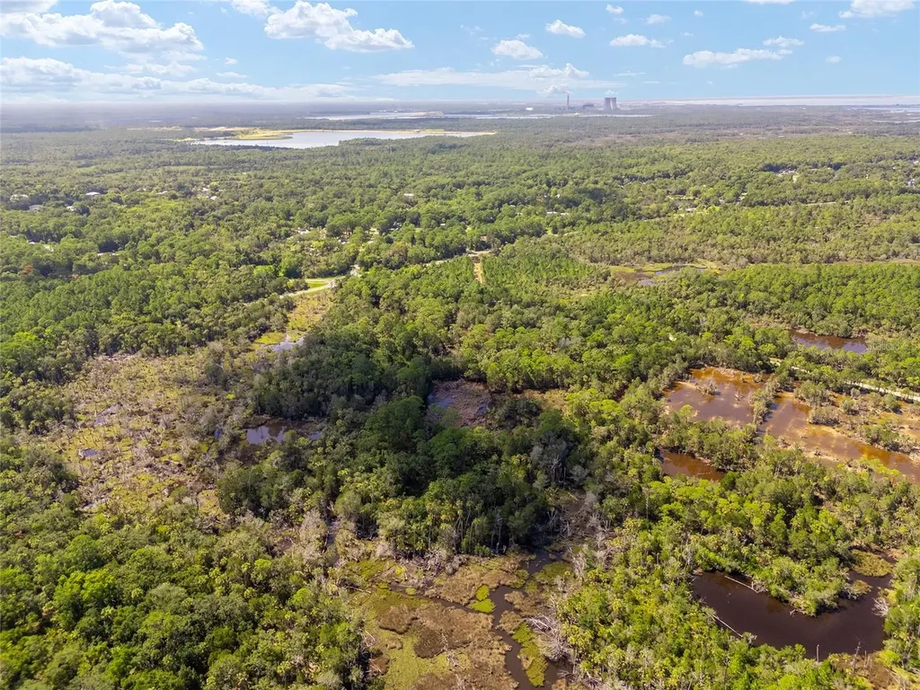 0 SE 193rd Place Yankeetown FL 34498