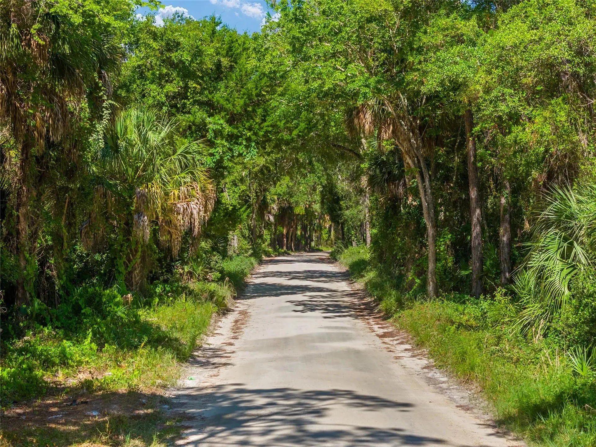 0 SE 193rd Place Yankeetown FL 34498