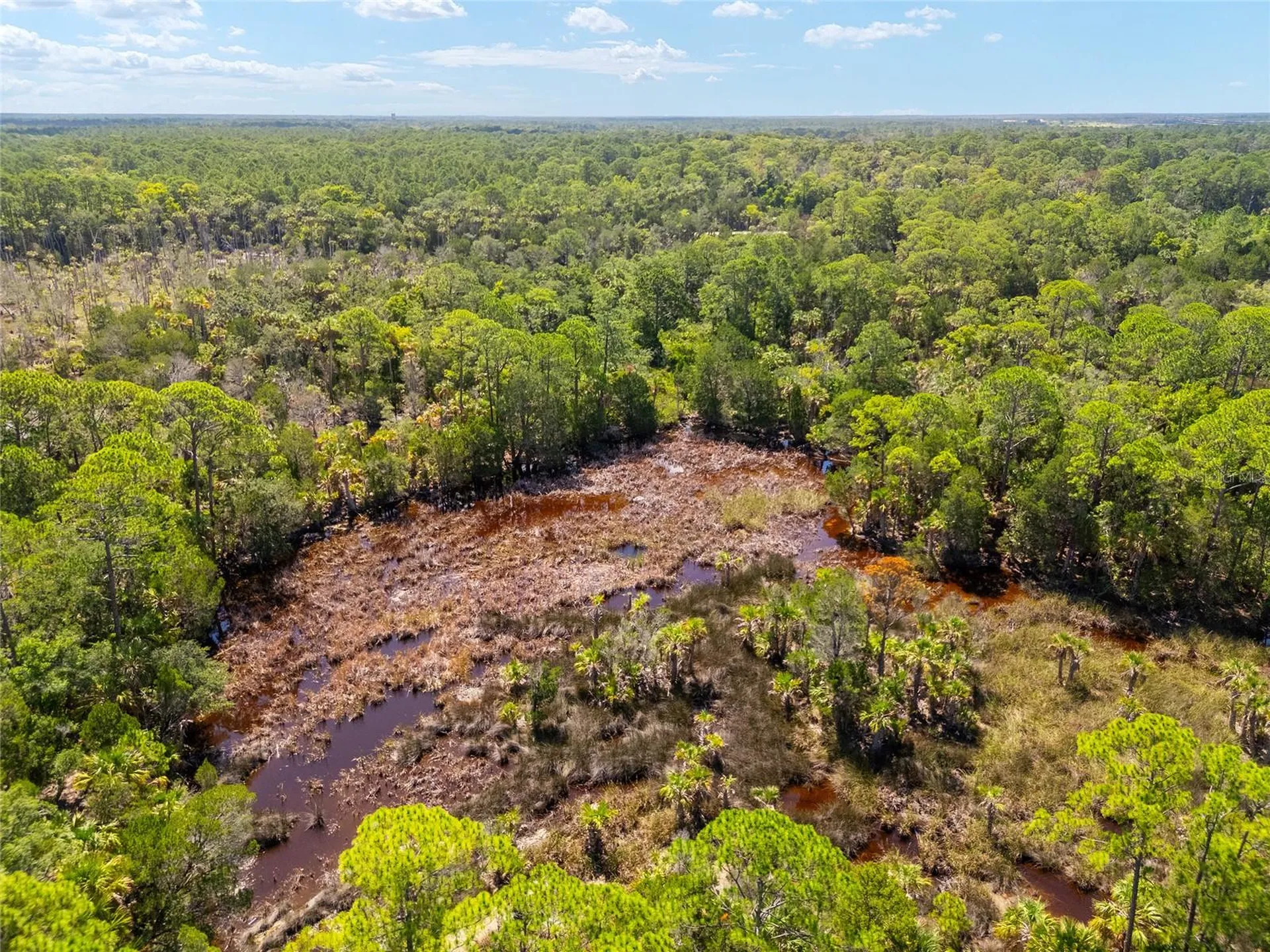 0 SE 193rd Place Yankeetown FL 34498