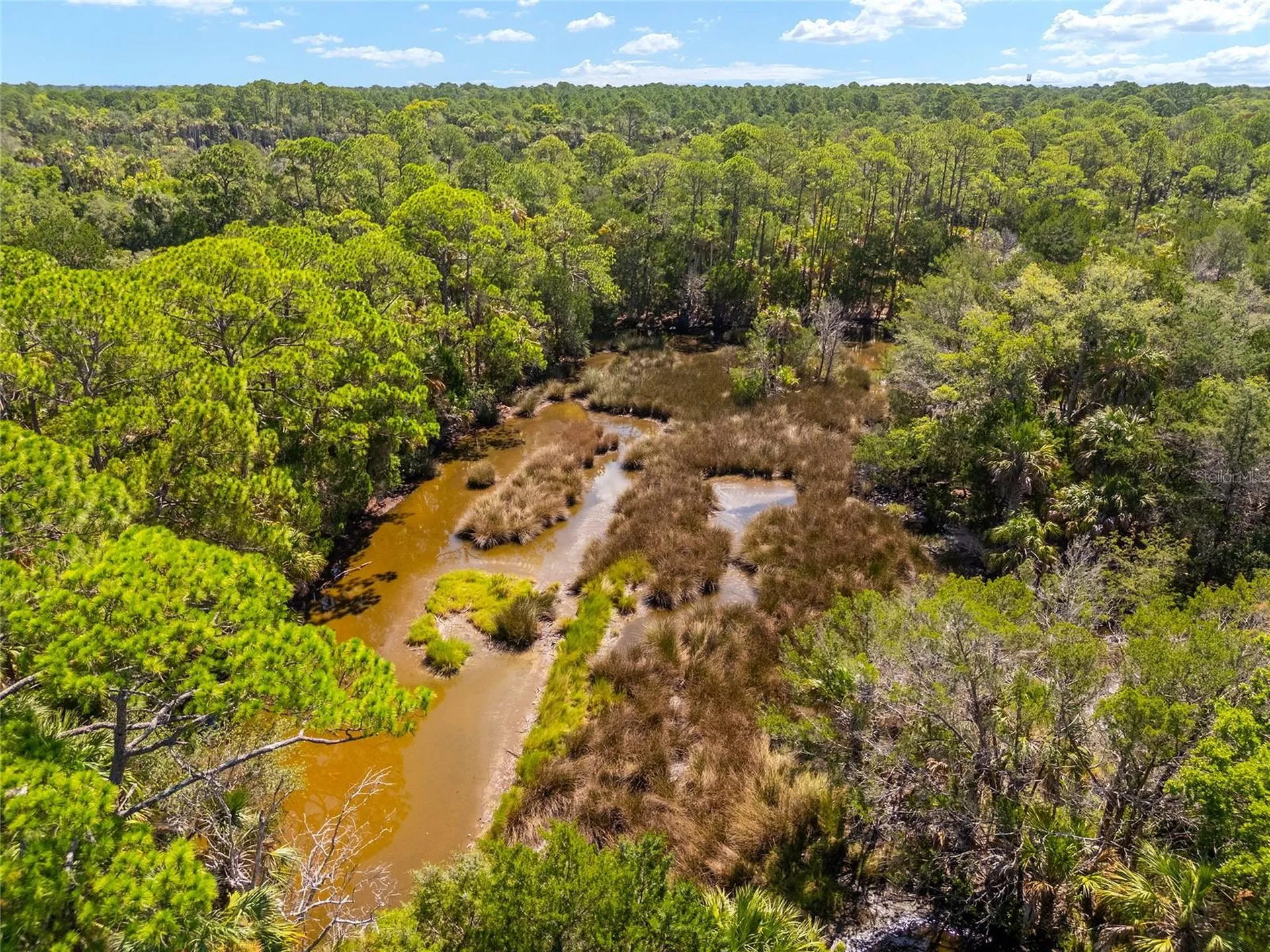 0 SE 193rd Place Yankeetown FL 34498