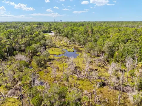 0 SE 193rd Place Yankeetown FL 34498