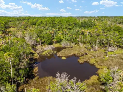 0 SE 193rd Place Yankeetown FL 34498