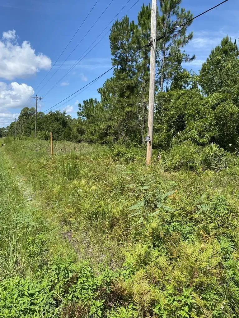 550 W River Road Palatka FL 32177