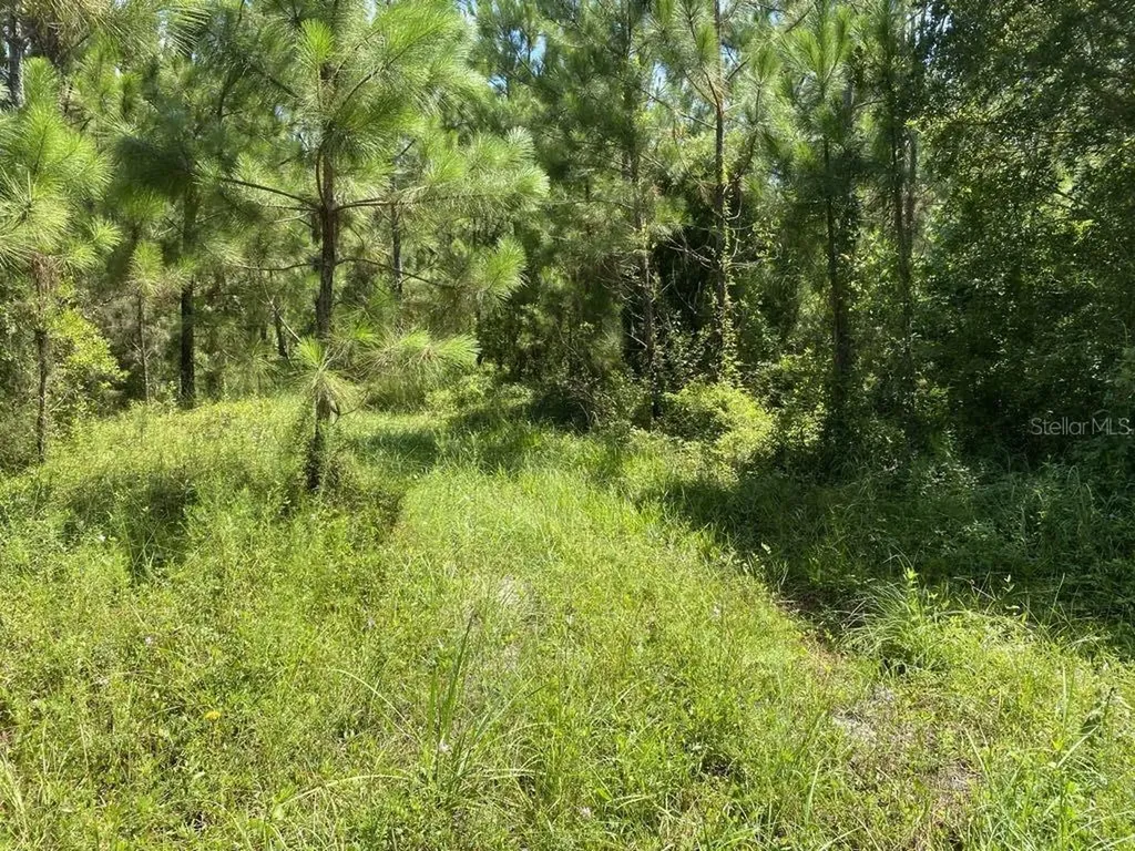 550 W River Road Palatka FL 32177