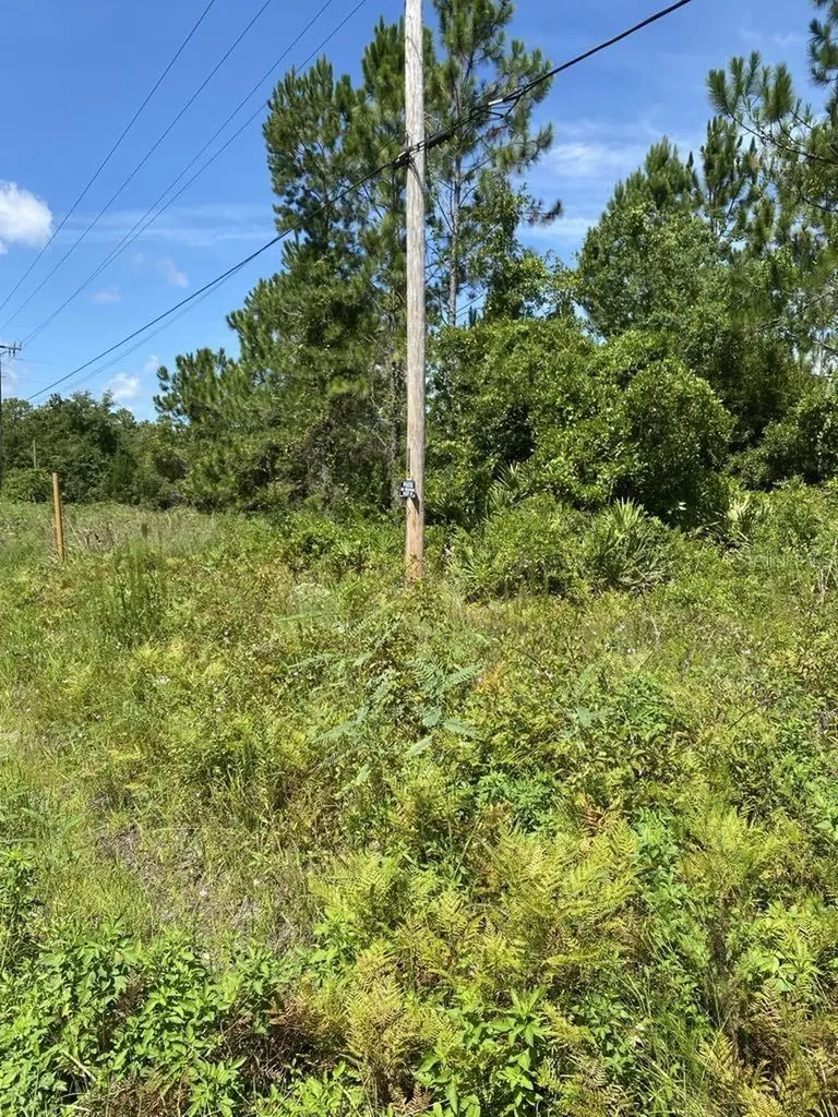550 W River Road Palatka FL 32177