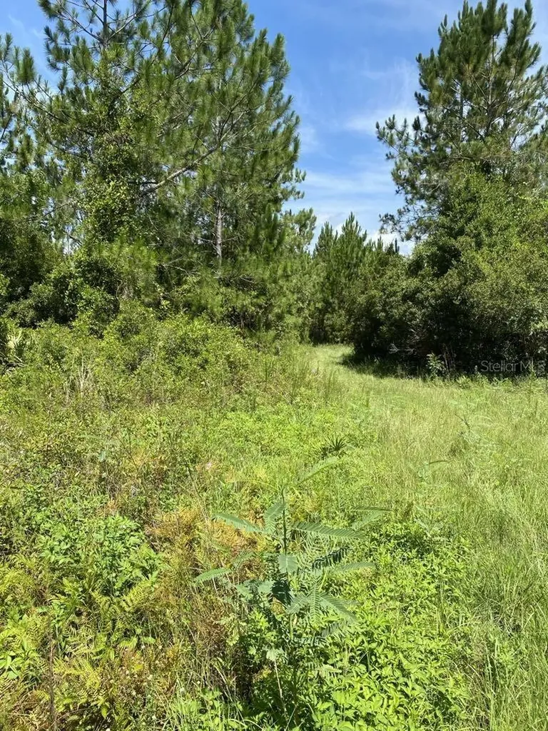550 W River Road Palatka FL 32177