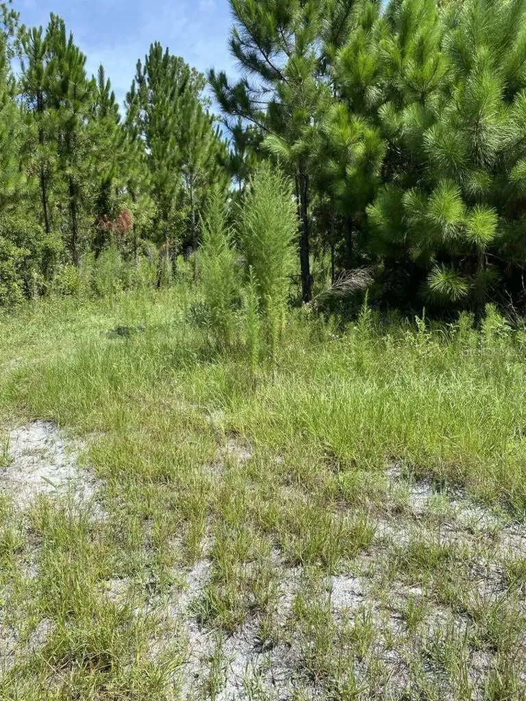 550 W River Road Palatka FL 32177