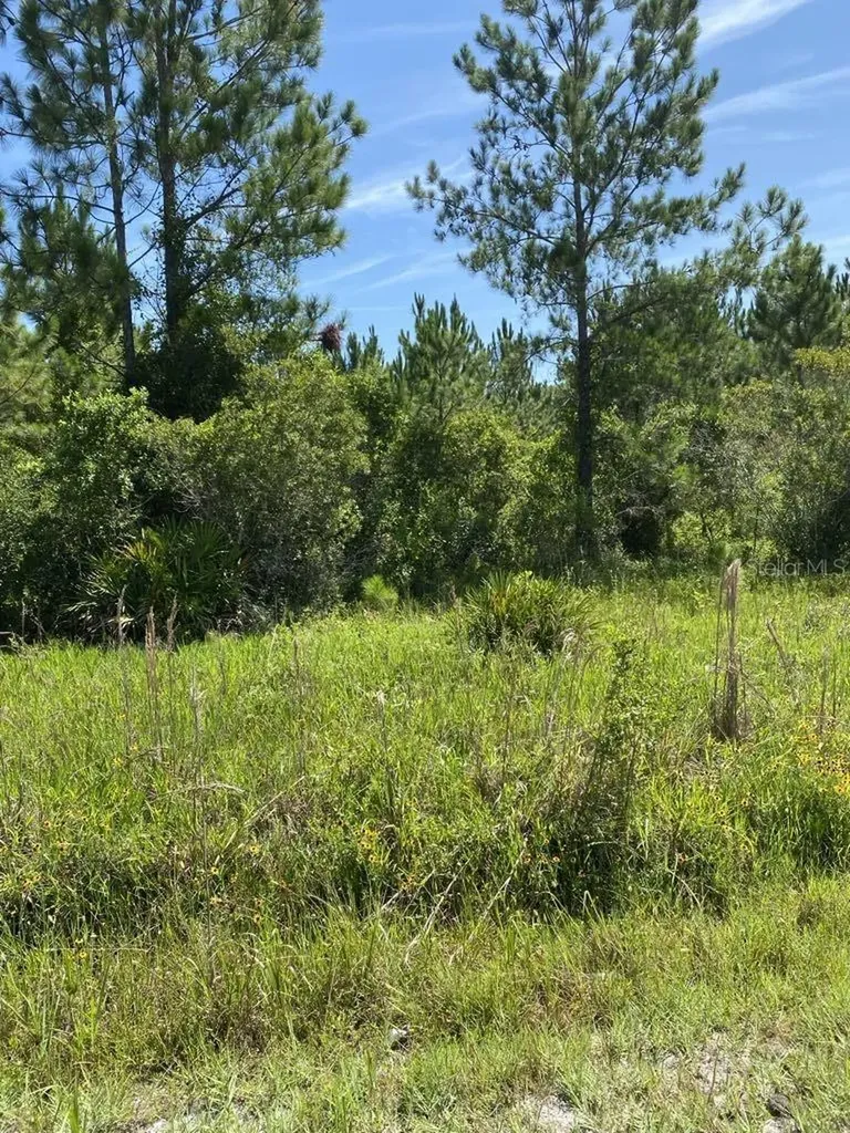550 W River Road Palatka FL 32177