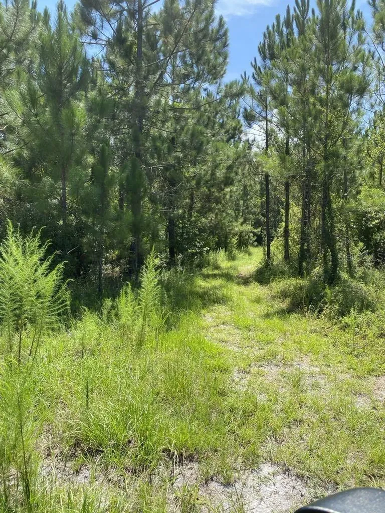 550 W River Road Palatka FL 32177