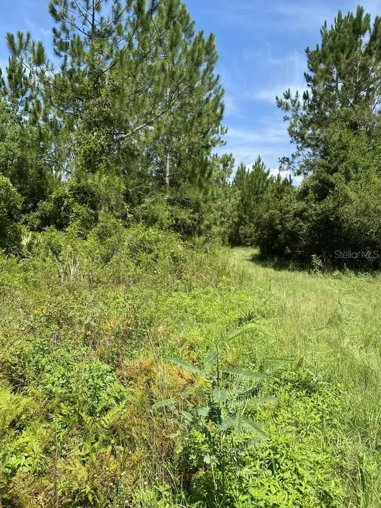 550 W River Road Palatka FL 32177