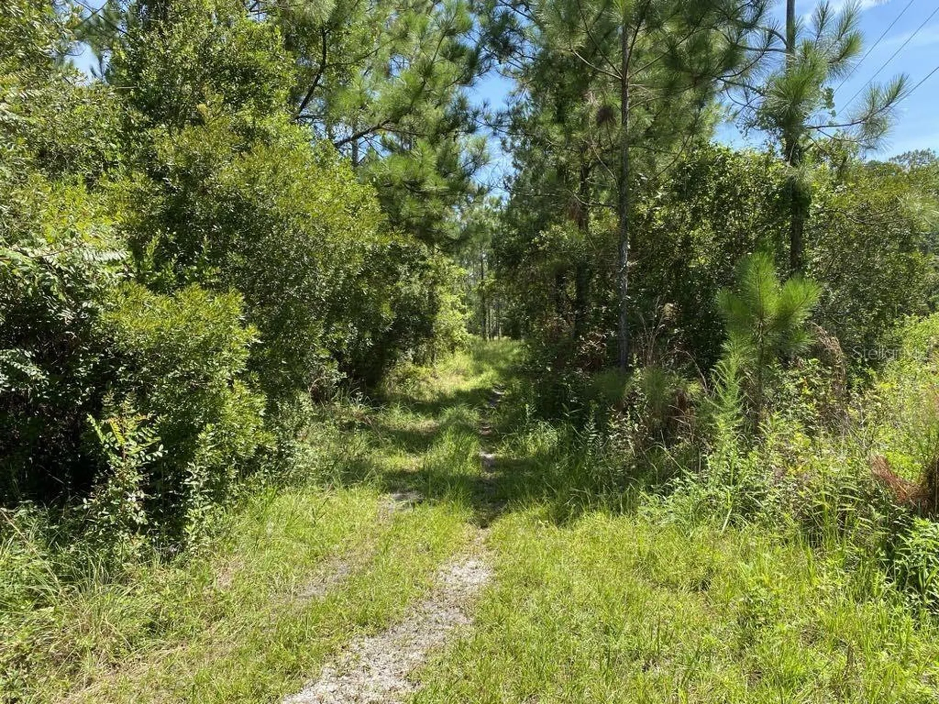 550 W River Road Palatka FL 32177
